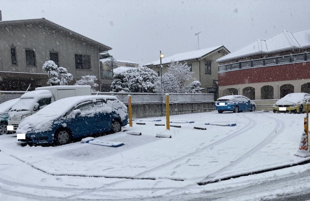 まじで雪がすごい