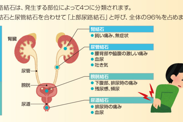 物価高で一日の食費計算してみた