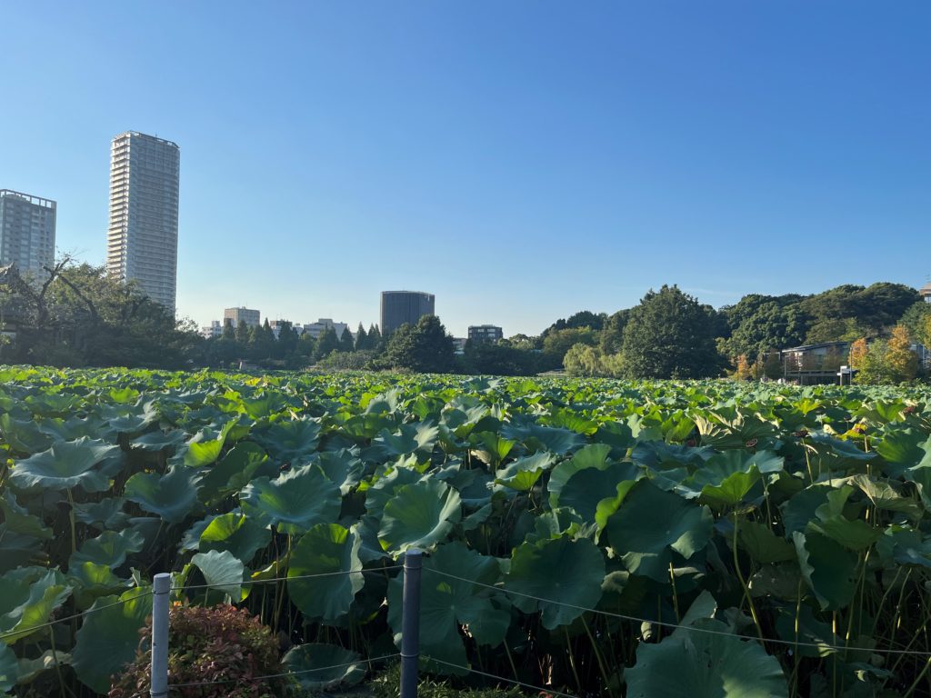 上野公園