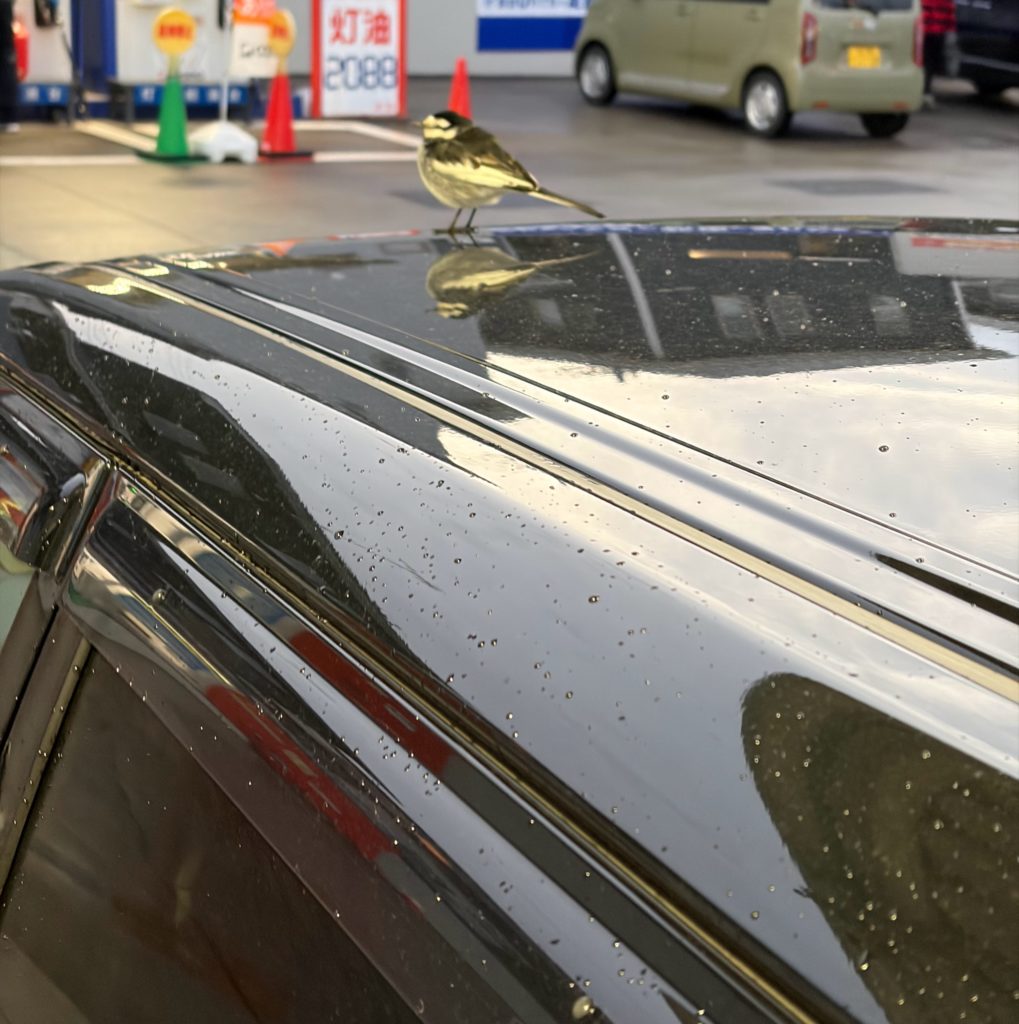 田舎のガソリンスタンドで