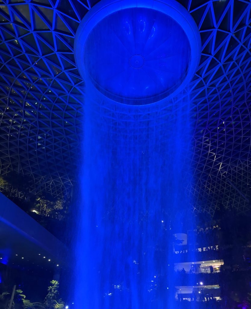 チャンギ空港で悲惨な結末を迎えることになりました