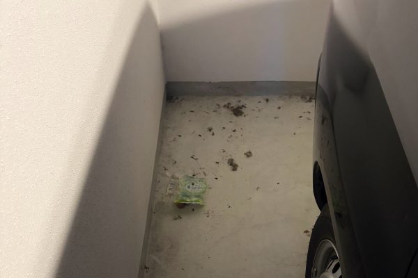 知り合いのお店
