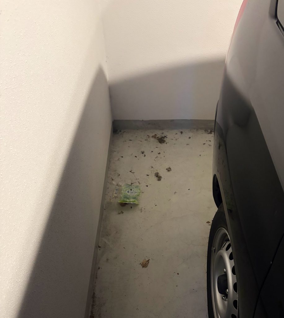 どこにいった？ねずみ？